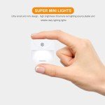 Mini LED Night Light with Dusk-to-Dawn Sensor - 2 Pack