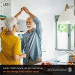 Sylvania A19 LED Light Bulbs, 5000K, 4-Pack
