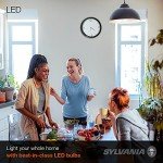 Sylvania A19 LED Light Bulbs, 5000K, 4-Pack