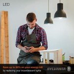 Sylvania A19 LED Light Bulbs, 5000K, 4-Pack