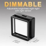Briignite Dusk to Dawn Plug-in Night Lights (2-Pack)