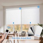 Remote-Controlled Motorized Blackout Roller Shades