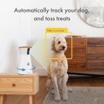 Furbo 360° Dog Camera with Treats & Alerts