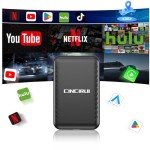 Wireless CarPlay Adapter with Netflix & YouTube Support