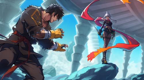 DNF Duel Game for Nintendo Switch