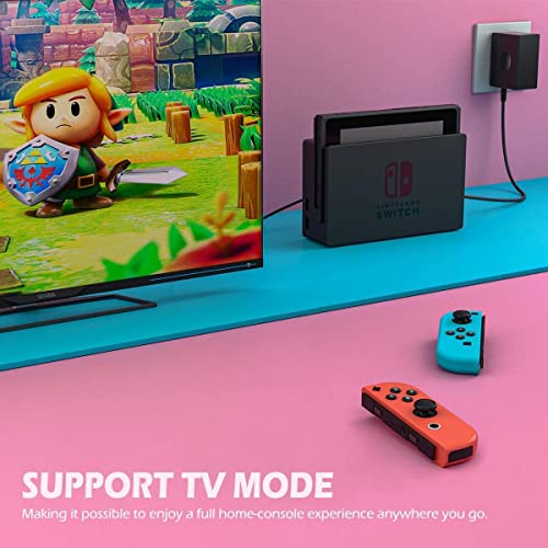 YCCTEAM Fast Charger for Nintendo Switch & OLED