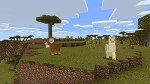 Minecraft for Nintendo Switch