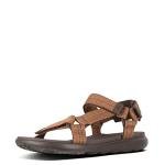 Men's Chocolate Brown TRAILSTAR Sandal by FitFlop