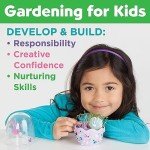 Kids Mini Mermaid Garden Terrarium Kit – Fun Crafts