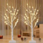 2-Pack 2FT Lighted Birch Tree with Timer for Christmas Decorations, Artificial Tree Christmas Decor Birch Tree with 48 LED Warm White Lights, Tabletop Centerpiece Tree for Xmas Home Wedding Decor