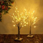 2-Pack 2FT Lighted Birch Tree with Timer for Christmas Decorations, Artificial Tree Christmas Decor Birch Tree with 48 LED Warm White Lights, Tabletop Centerpiece Tree for Xmas Home Wedding Decor