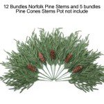 Artificial Christmas Norfolk Pine Stems Branches for Vases,12 Bundles Faux Fake Greenery Evergreen Real Touch Feel Green Branch with Pinecones for Holiday Winter Table Xmas Decorating