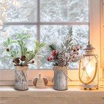 Omldggr Artificial Christmas Centerpiece Decorations, Christmas Picks and Sprays 4 Pack Christmas Potted Plants for Home Office Decor Tiered Tray Tabletop Display