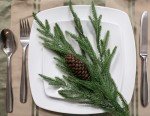 Artificial Christmas Norfolk Pine Stems Branches for Vases,12 Bundles Faux Fake Greenery Evergreen Real Touch Feel Green Branch with Pinecones for Holiday Winter Table Xmas Decorating