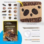 National Geographic Mega Fossil Dig Kit for Kids