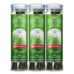 Scentsicles White Winter Fir Scented Christmas Tree Ornaments - 3 Bottles (18 Sticks Total)