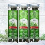 Scentsicles White Winter Fir Scented Christmas Tree Ornaments - 3 Bottles (18 Sticks Total)