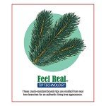 National Tree Company Pre-Lit Artificial Christmas Wreath, Green, Colonial Fir, White Lights, Decorated with Pine Cones, Berry Clusters, Christmas Collection, 24 Inches