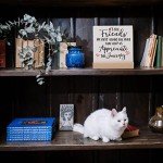 Friend Gifts for Women Best Friend Bestie BFF Soul Sister Birthday Christmas, Friendship Gifts for Coworker Leader Boss, Friend Appreciation Gifts for Long Distance Friend Saying Plaques