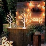 Vanthylit White Birch Tree with LED Lights - Set of 2, LED Tabletop Tree with Timer, Christmas Decorations Lighted Tree for Indoor Mantel Home Decor (2 FT, 24 LED)