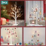 Vanthylit White Birch Tree with LED Lights - Set of 2, LED Tabletop Tree with Timer, Christmas Decorations Lighted Tree for Indoor Mantel Home Decor (2 FT, 24 LED)