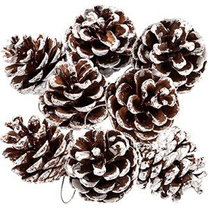 25 Pack Rustic Pine Cone Ornaments for Holidays