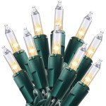 Joiedomi 100 Warm White Christmas Lights Set