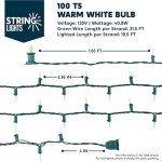Joiedomi 100 Warm White Christmas Lights Set