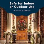 100 Count Warm White Christmas Tree Lights