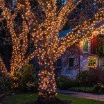 100 Count Mini Clear Christmas Tree Lights