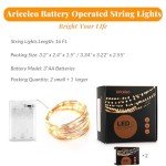 Warm White Battery Operated Fairy Lights - 2 Pack