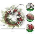 19'' Christmas Wreath with Red Berries & Pinecones