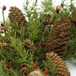 22-Inch Artificial Christmas Wreath with Pinecones