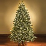 Clear Christmas Lights on Green Wire - 100 Mini