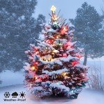 Philips 100 LED Multicolor Mini Christmas Lights