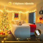 600 LED Waterproof Christmas String Lights - Warm White