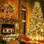 66FT 200 LED Indoor/Outdoor Christmas String Lights