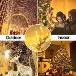 66FT 200 LED Indoor/Outdoor Christmas String Lights