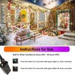 66FT 200 LED Indoor/Outdoor Christmas String Lights