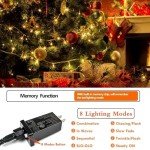 66FT 200 LED Indoor/Outdoor Christmas String Lights