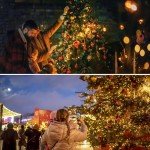 66FT 200 LED Indoor/Outdoor Christmas String Lights