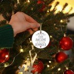 2024 Christmas Ornaments - You're Awesome Holiday Decor