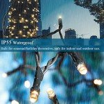 300LED Waterproof Christmas String Lights - 105FT