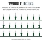 Twinkling Clear Christmas Lights for Indoor/Outdoor Use