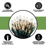 Twinkling Clear Christmas Lights for Indoor/Outdoor Use