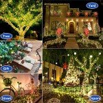 300LED Waterproof Christmas String Lights - 105FT