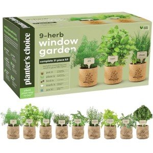 Herb Indoor Garden Kit for Winter Holidays