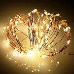 Ariceleo Led Fairy Lights Battery Operated, 1 Pack Mini Battery Powered Copper Wire Starry Fairy Lights for Bedroom, Christmas, Parties, Wedding, Centerpiece, Decoration (5m/16ft Warm White)