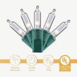 SEWANTA Christmas String Lights [100 Set] 25 Ft Warm White Christmas String Lights, for Xmas Tree, Garland, Holiday, Party Décor –Mini Christmas Lights for Tree Weather-Resistant