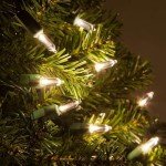 SEWANTA Christmas String Lights [100 Set] 25 Ft Warm White Christmas String Lights, for Xmas Tree, Garland, Holiday, Party Décor –Mini Christmas Lights for Tree Weather-Resistant